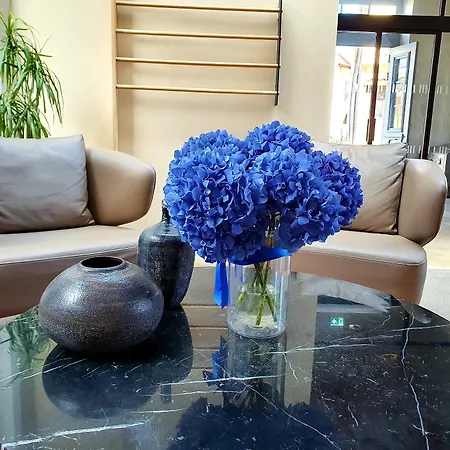 Indigo By Ihg (adults Only) מלון